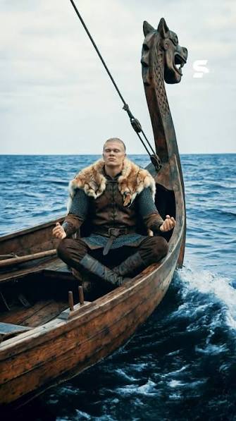 Viking Haaland meme 11